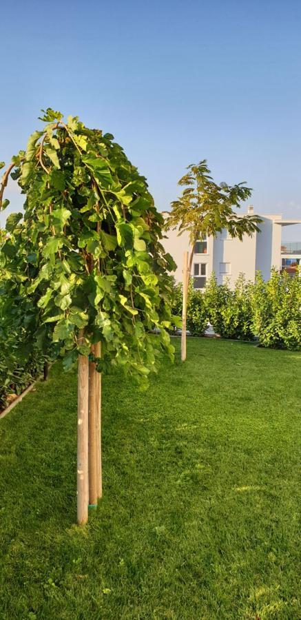 Sea View Apartments Zaboric Exterior foto